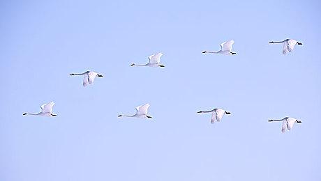 《真三国无双：起源》上市宣传片 今日正式发售